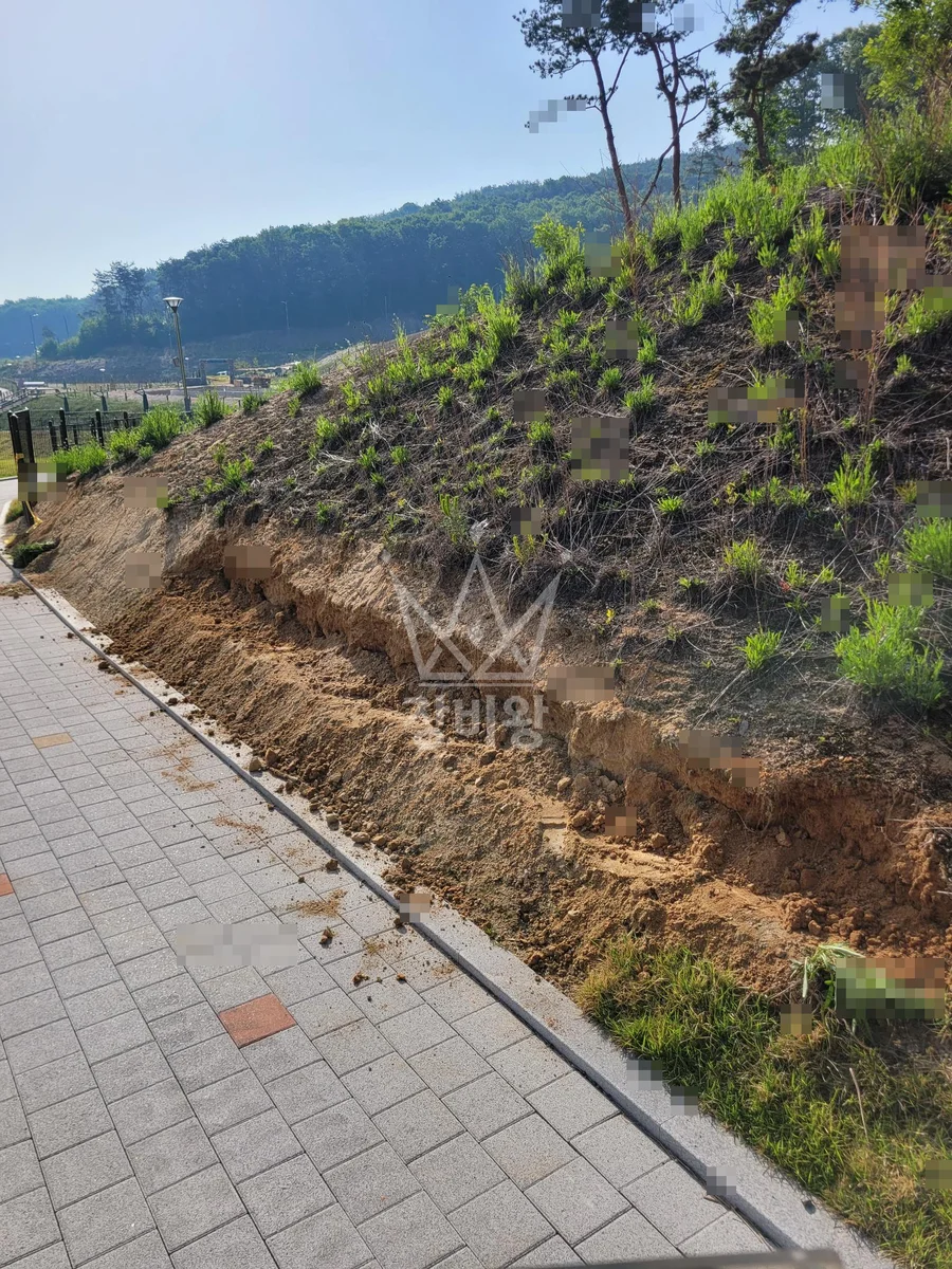 경기 여주시 상거동 포크레인(굴착기) 경사면 나무식재 작업사진 3