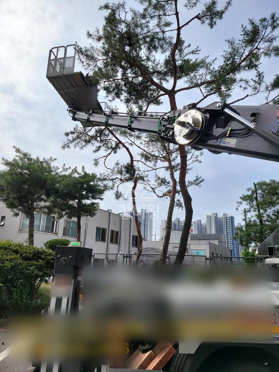 경기 오산시 갈곶동 3.5톤 스카이차 단지내 수목전지 작업사진 2