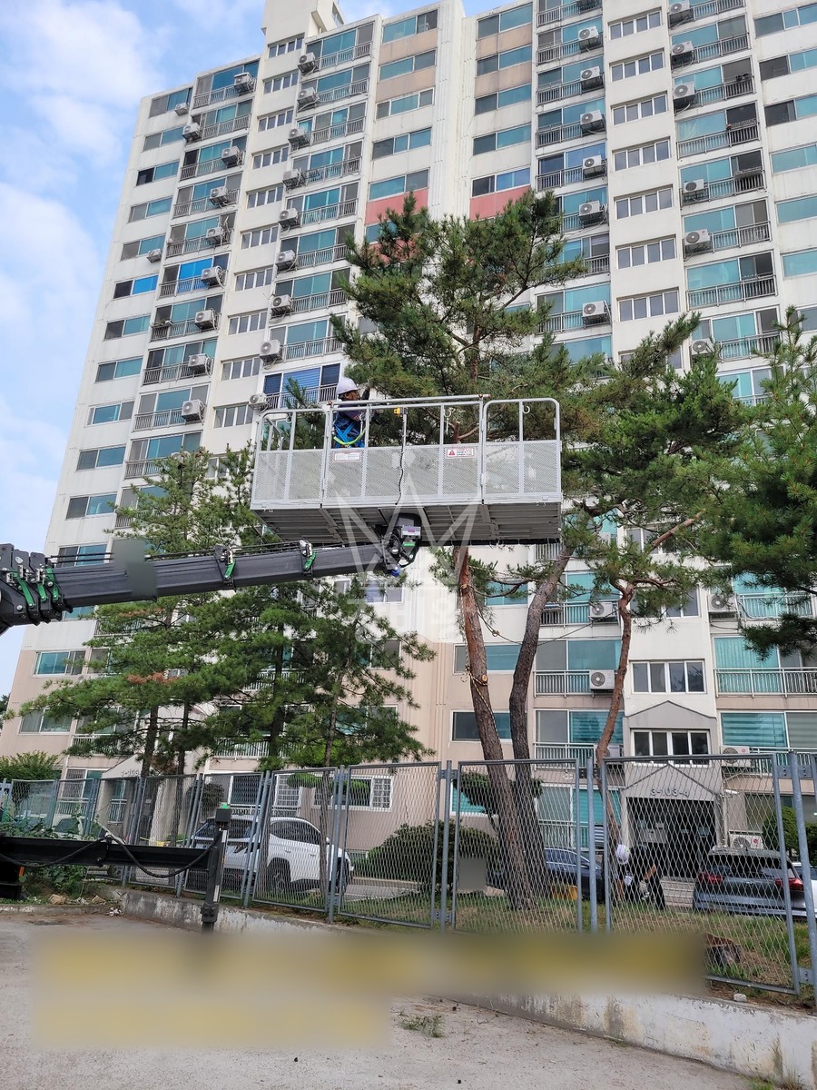 경기 오산시 갈곶동 3.5톤 스카이차 단지내 수목전지 작업사진 3