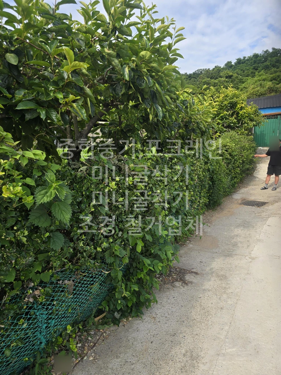 전남 여수시 화양면 포크레인(굴착기) 작업 현장 도착사진