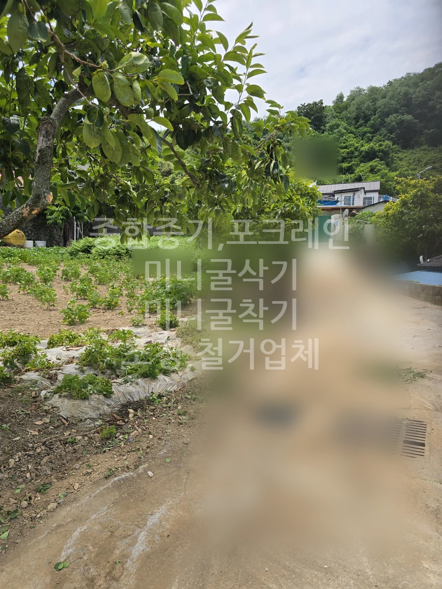 전남 여수시 화양면 포크레인(굴착기) 가정집 주변정리 작업사진 2