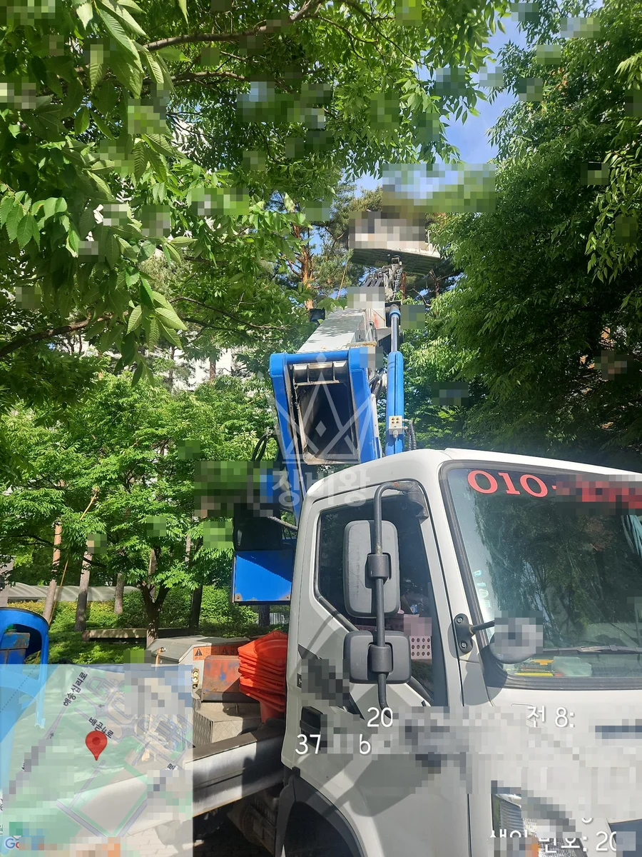 경기 시흥시 배곧동 3.5톤 스카이차 수목방재작업 작업사진 1