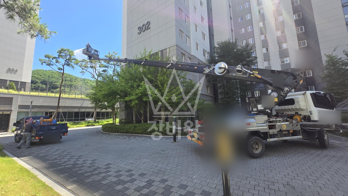 경기 하남시 감이동 3.5톤 스카이차 수목방제작업 작업사진 1