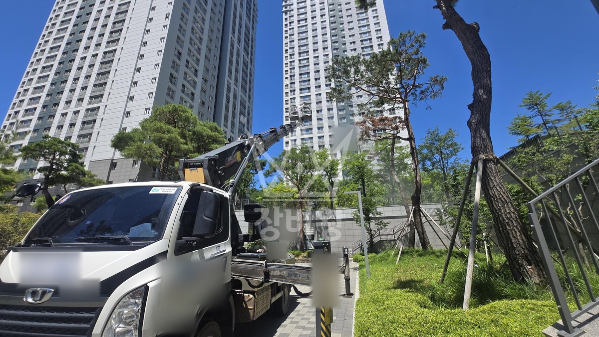 경기 하남시 감이동 3.5톤 스카이차 수목방제작업 작업사진 2