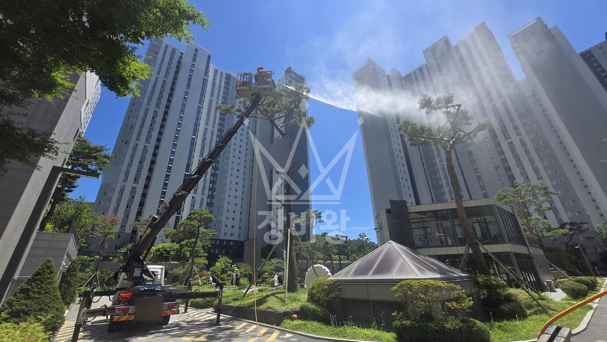 경기 하남시 감이동 3.5톤 스카이차 수목방제작업 작업사진 3