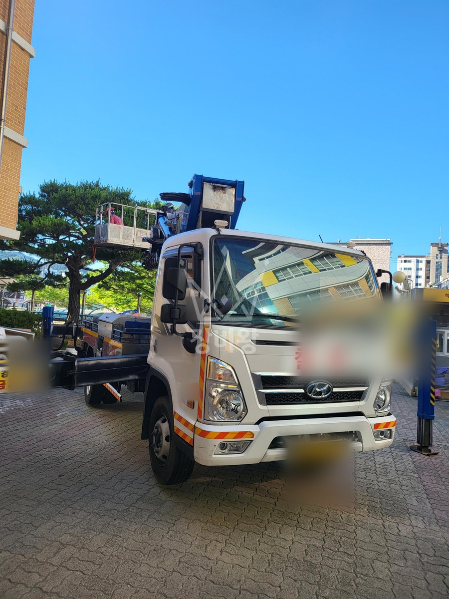 대전 대덕구 비래동 3.5톤 스카이차 수목전지 작업사진 2