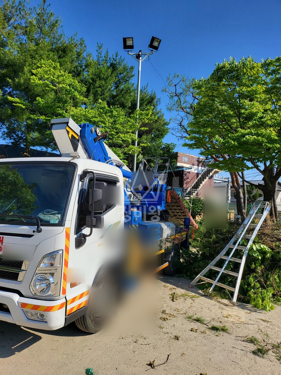 대전 대덕구 비래동 3.5톤 스카이차 수목전지 작업완료사진 1