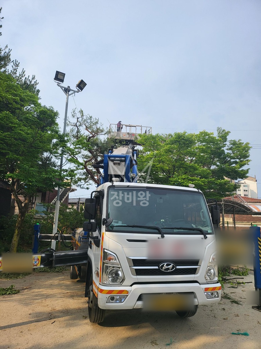 대전 대덕구 비래동 3.5톤 스카이차 2일차 : 수목전지 작업사진 2