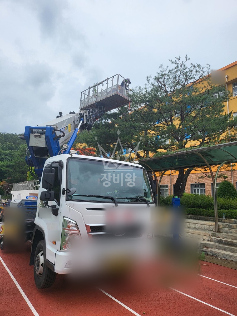 대전 서구 괴곡동 3.5톤 스카이차 수목전지 작업사진 1