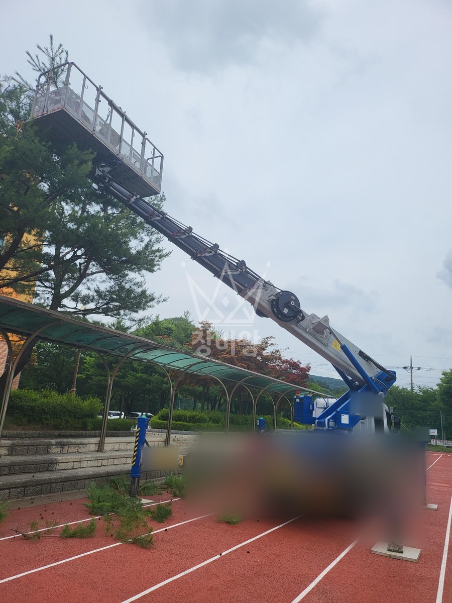 대전 서구 괴곡동 3.5톤 스카이차 수목전지 작업사진 3