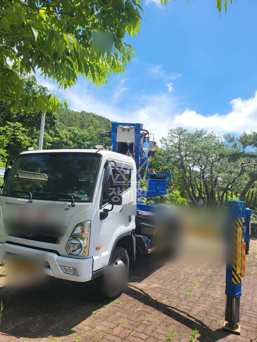 대전 서구 괴곡동 3.5톤 스카이차 수목전지 작업사진 2
