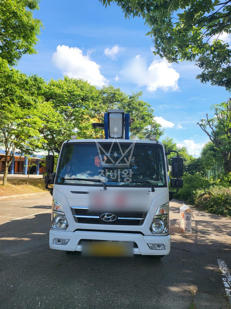 대전 서구 괴곡동 3.5톤 스카이차 수목전지 작업완료사진 1