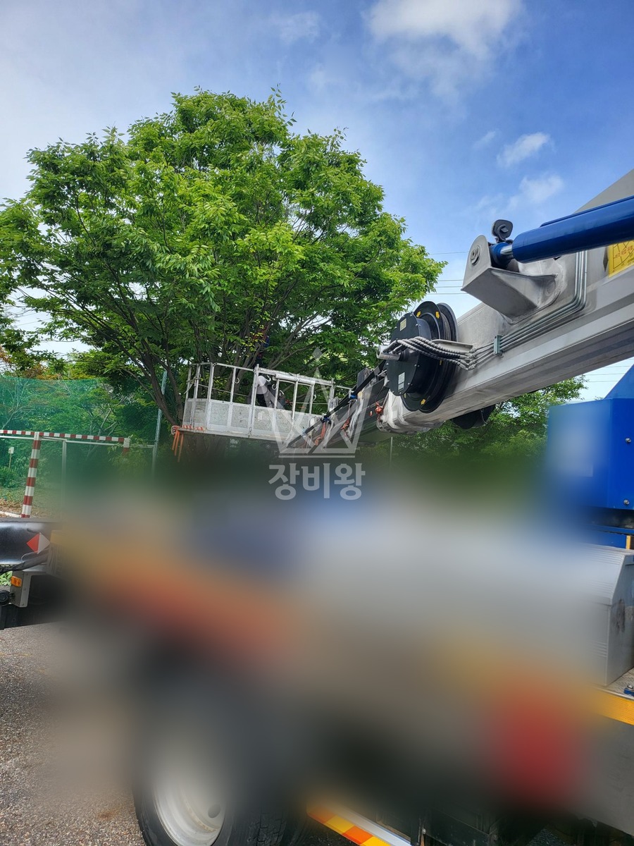 대전 서구 괴곡동 3.5톤 스카이차 수목전지 작업사진 3