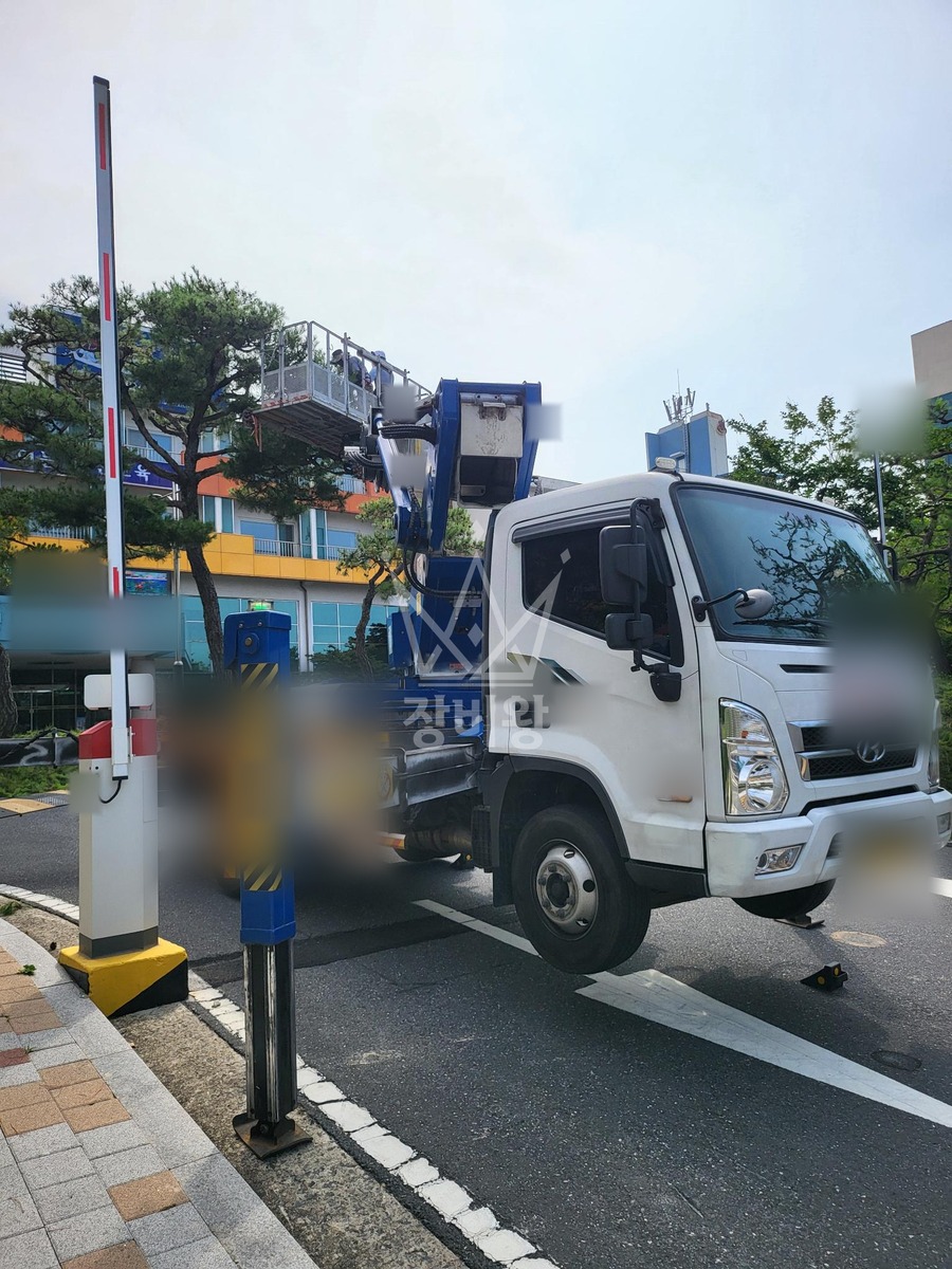 충남 보령시 신흑동 3.5톤 스카이차 소나무전지적업 작업사진 1