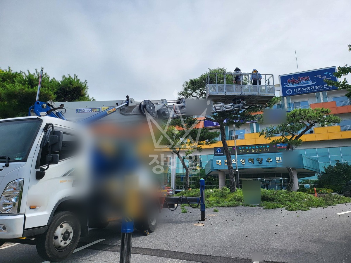 충남 보령시 신흑동 3.5톤 스카이차 소나무전지적업 작업사진 3