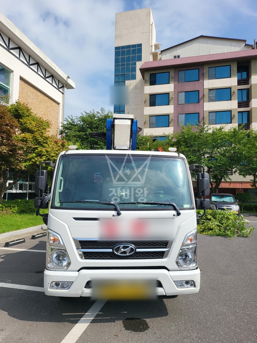 충남 보령시 신흑동 3.5톤 스카이차 소나무전지적업 작업완료사진 1