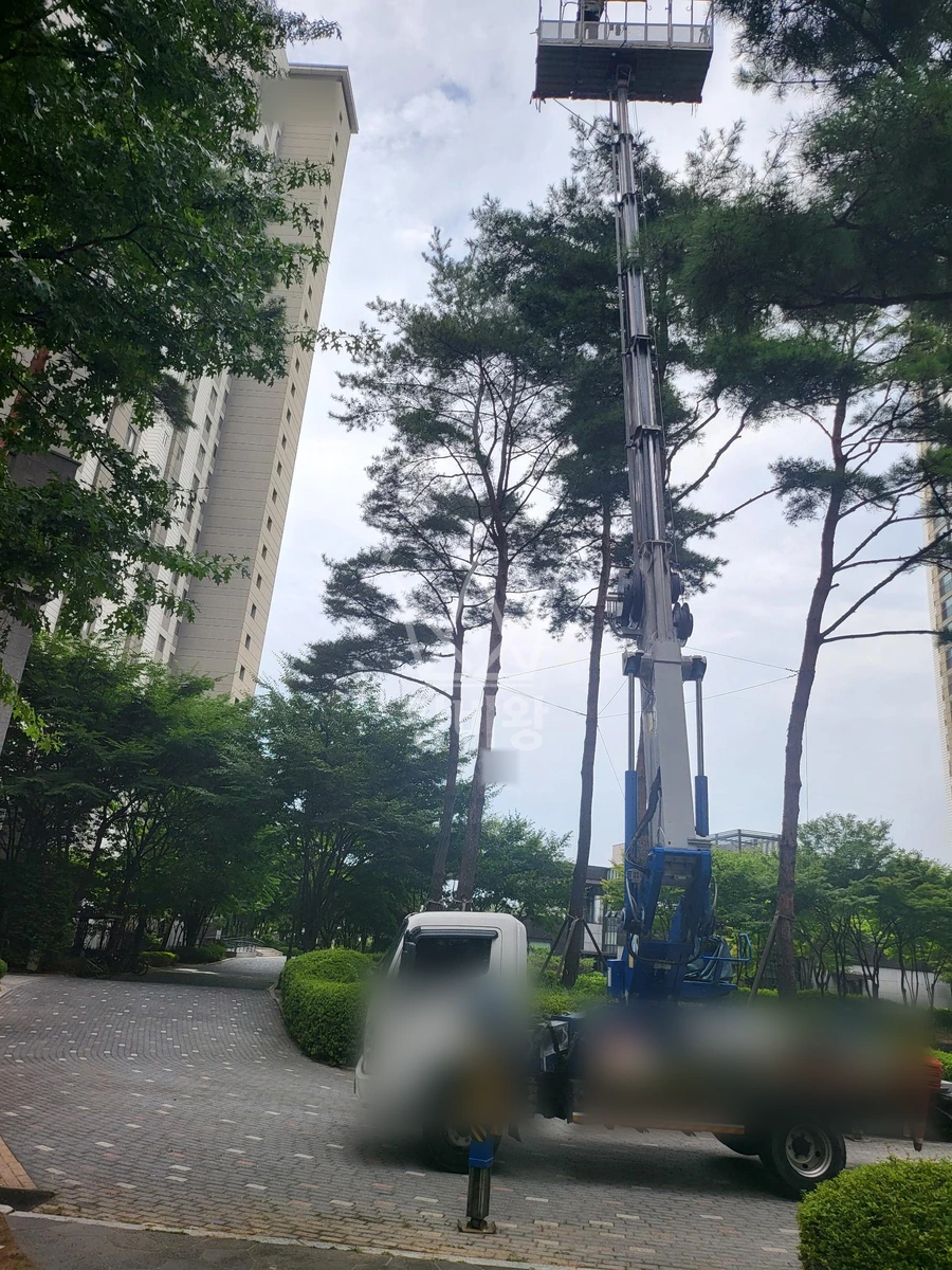 경기 시흥시 배곧동 3.5톤 스카이차 수목방제.전지작업 작업사진 1