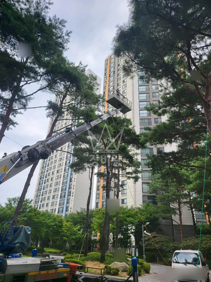 경기 시흥시 배곧동 3.5톤 스카이차 수목방제.전지작업 작업사진 2
