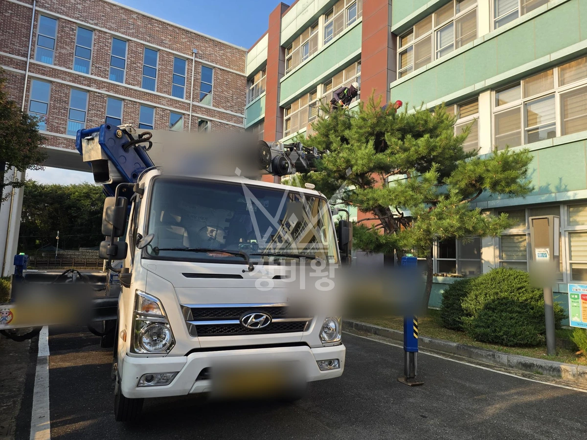 대전 동구 비룡동 3.5톤 스카이차 수목전지 작업사진 1