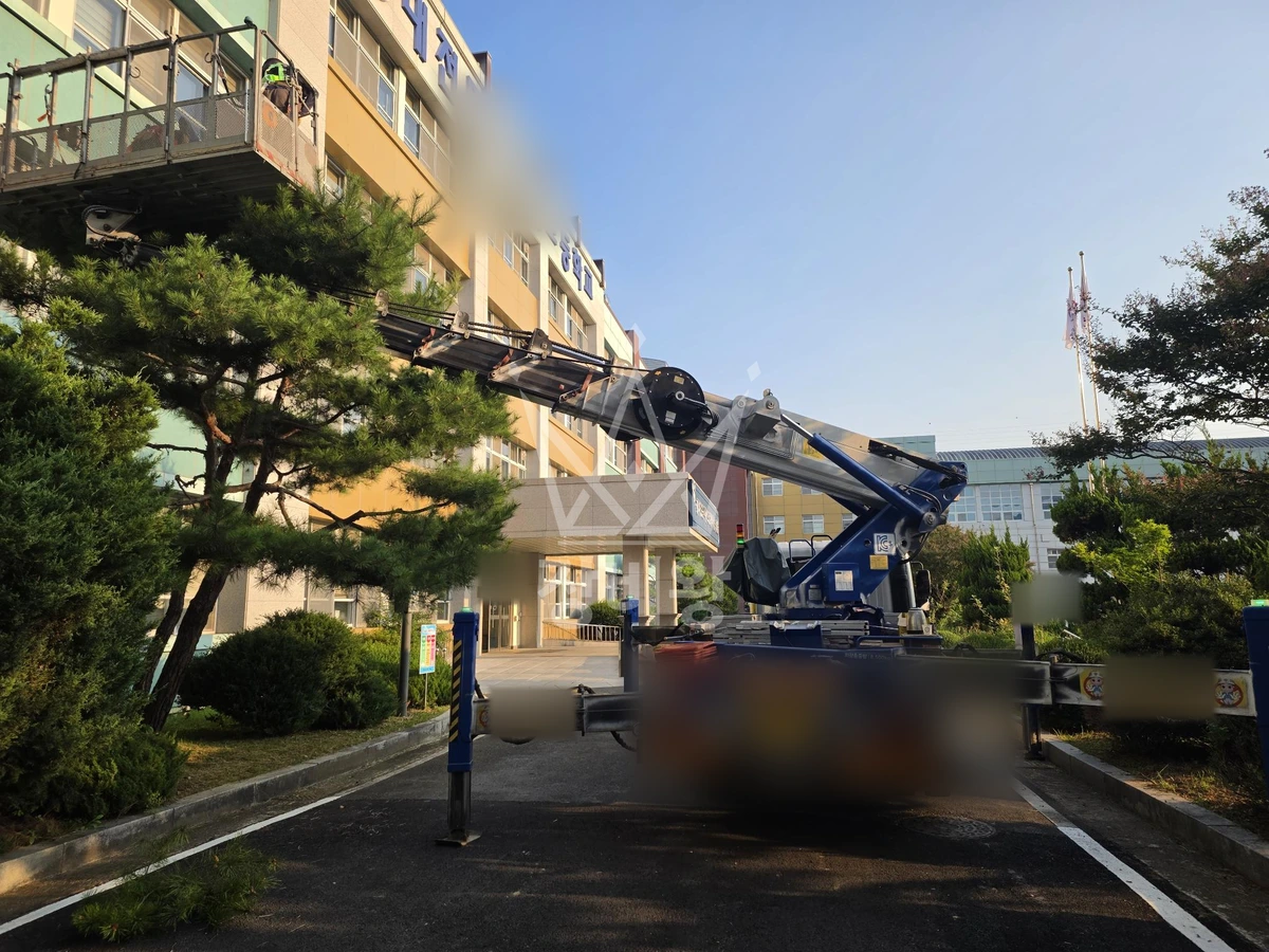 대전 동구 비룡동 3.5톤 스카이차 수목전지 작업사진 2