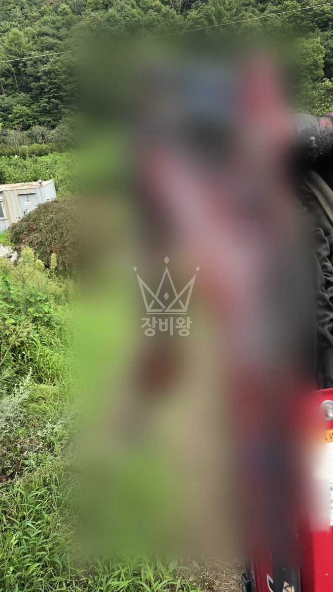경북 청도군 매전면 작업 사진 (2026-09-02)