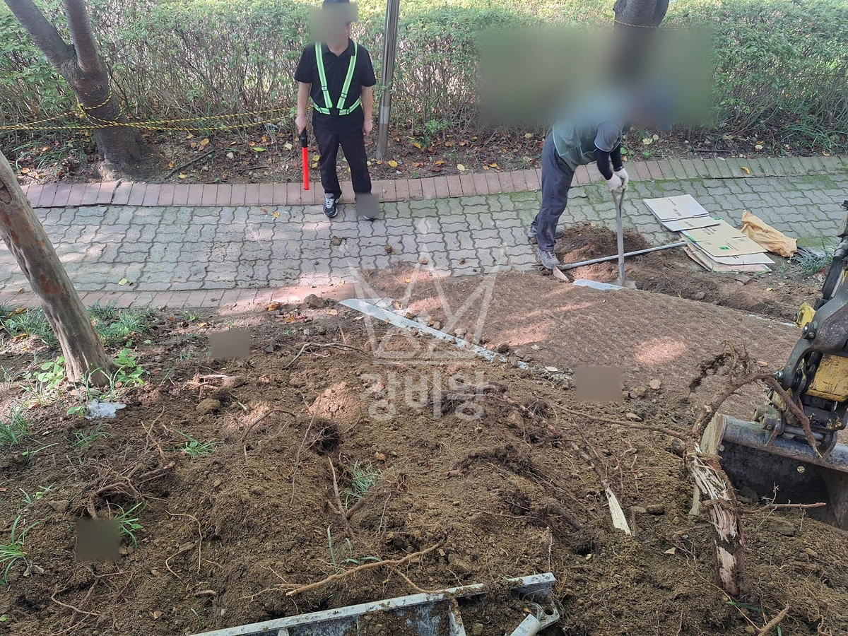 경기 용인시 수지구 성복동 포크레인(굴착기) 터파기 작업 작업사진 1