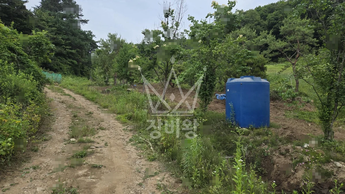 경기 남양주시 진접읍 포크레인(굴착기) 나무식재작업 작업완료사진 1