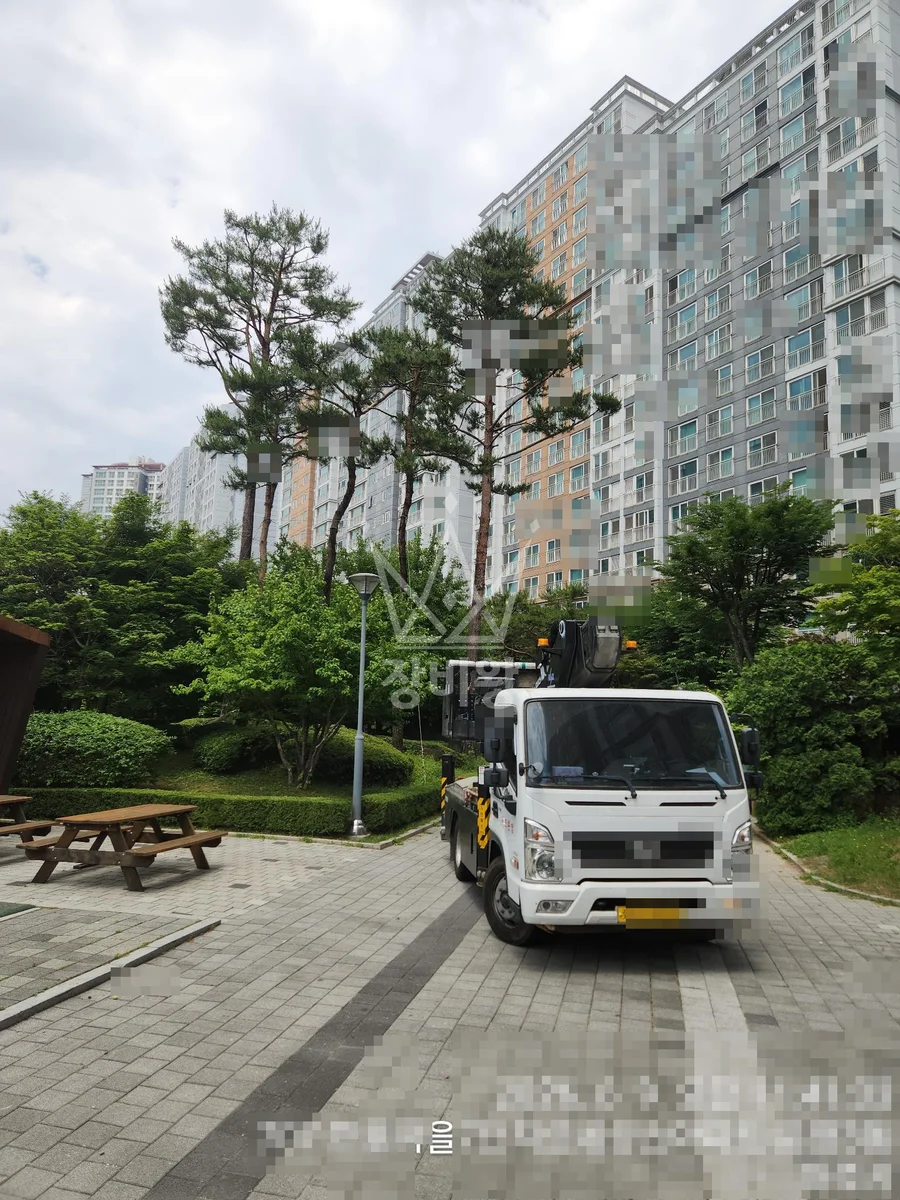 경기 파주시 동패동 3.5톤 스카이차 수목방제 작업완료사진 1