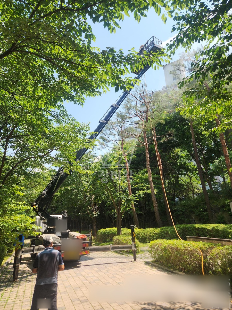 경기 파주시 와동동 3.5톤 스카이차 수목방제 작업사진 1