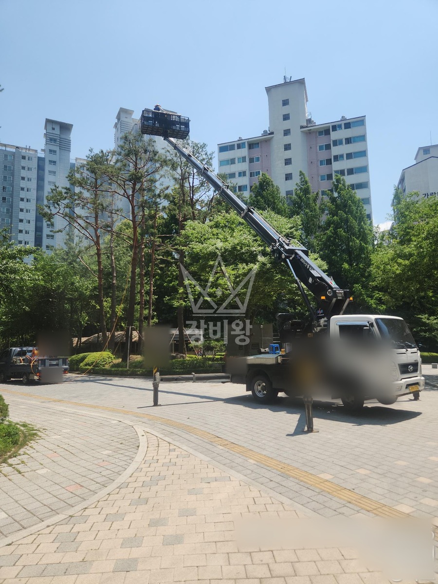 경기 파주시 와동동 3.5톤 스카이차 수목방제 작업사진 3