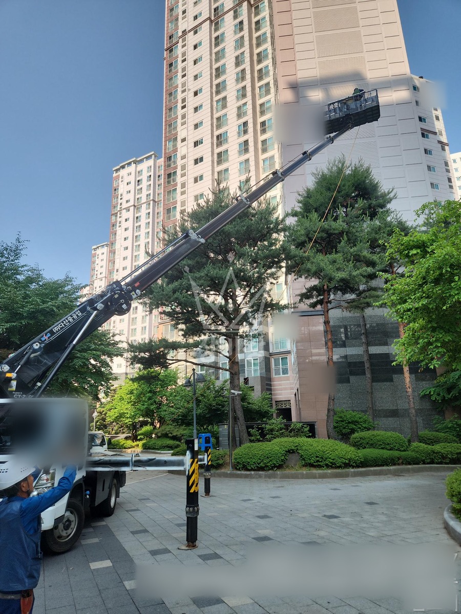 경기 김포시 장기동 3.5톤 스카이차 소나무 방역 작업사진 3