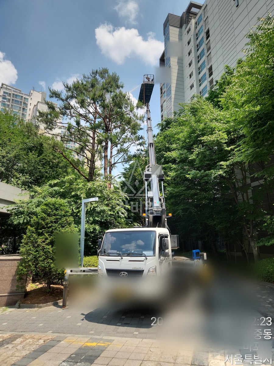 서울 마포구 하중동 3.5톤 스카이차 수목방제 작업사진 1