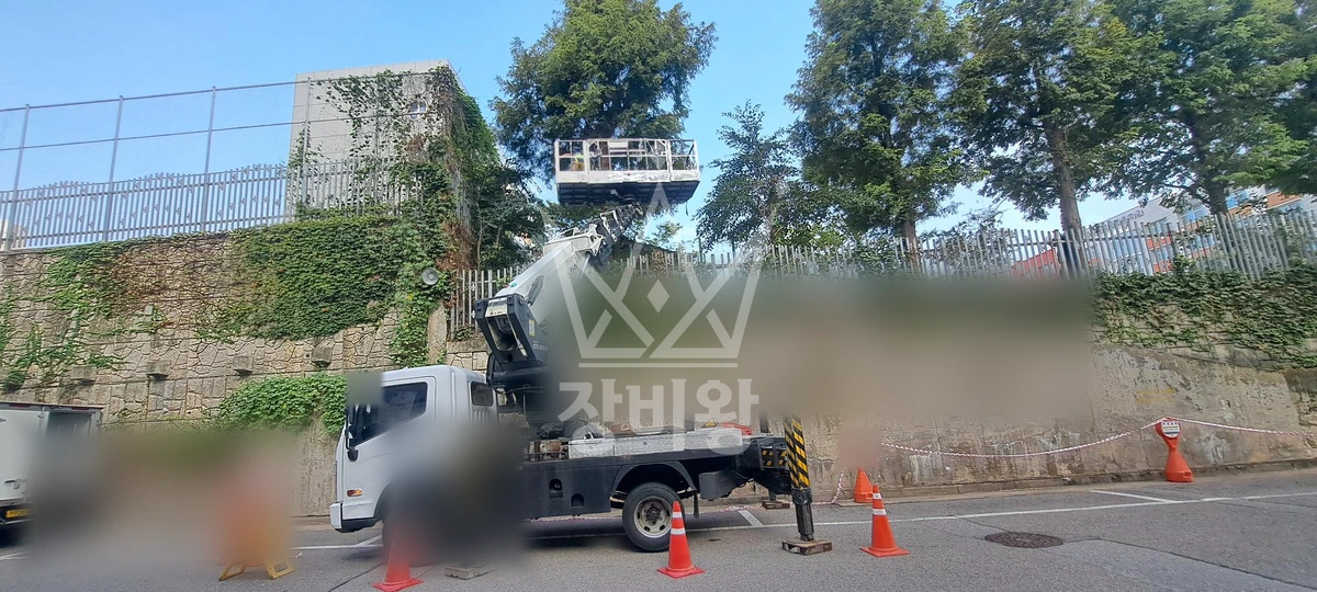 인천 계양구 병방동 3.5톤 스카이차 학교 담장 키큰 나무 전지 작업사진 2
