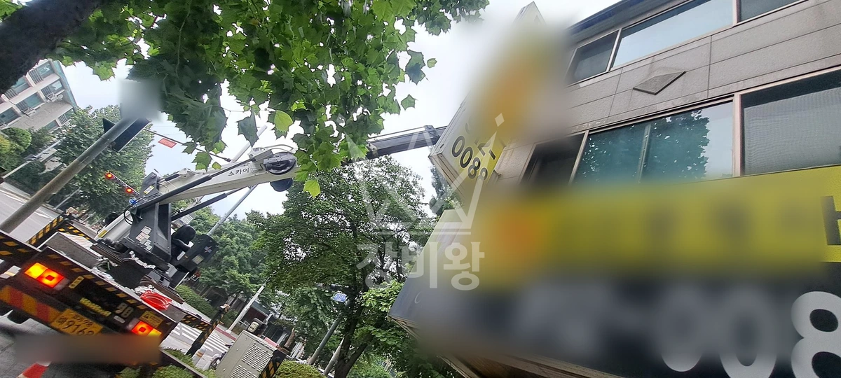 경기 고양시 일산동구 정발산동 작업 사진 (2026-09-03)