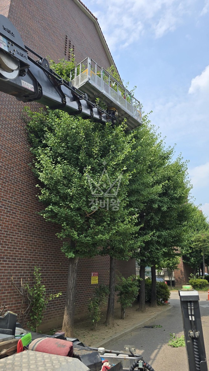 경기 안산시 상록구 월피동 3.5톤 스카이차 나무전지 작업사진 1