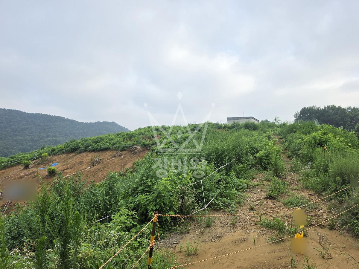 충남 천안시 동남구 동면 포크레인(굴착기) 작업 현장 도착사진
