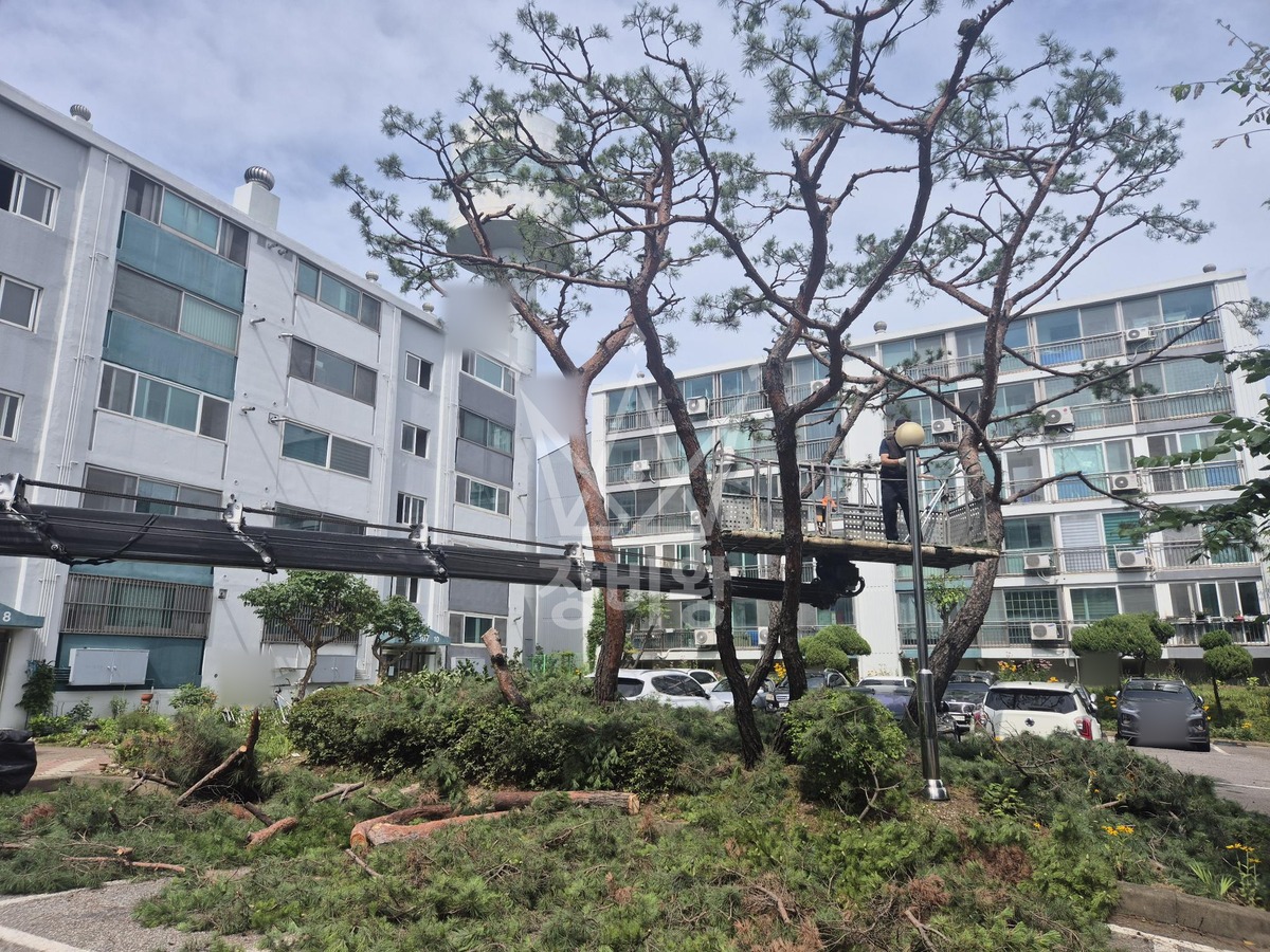 인천 연수구 연수동 3.5톤 스카이차 전지 작업사진 1