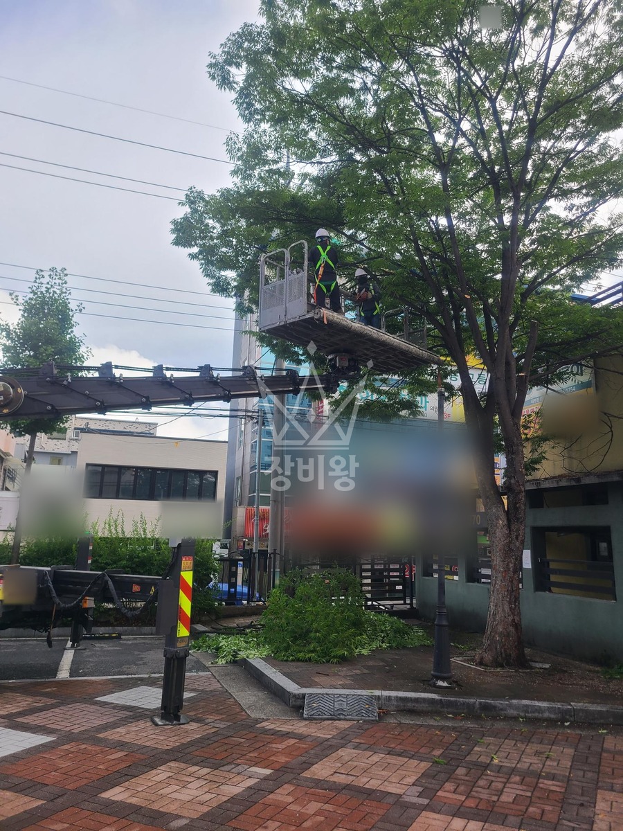 대전 중구 태평동 3.5톤 스카이차 나무벌목작업 작업사진 3