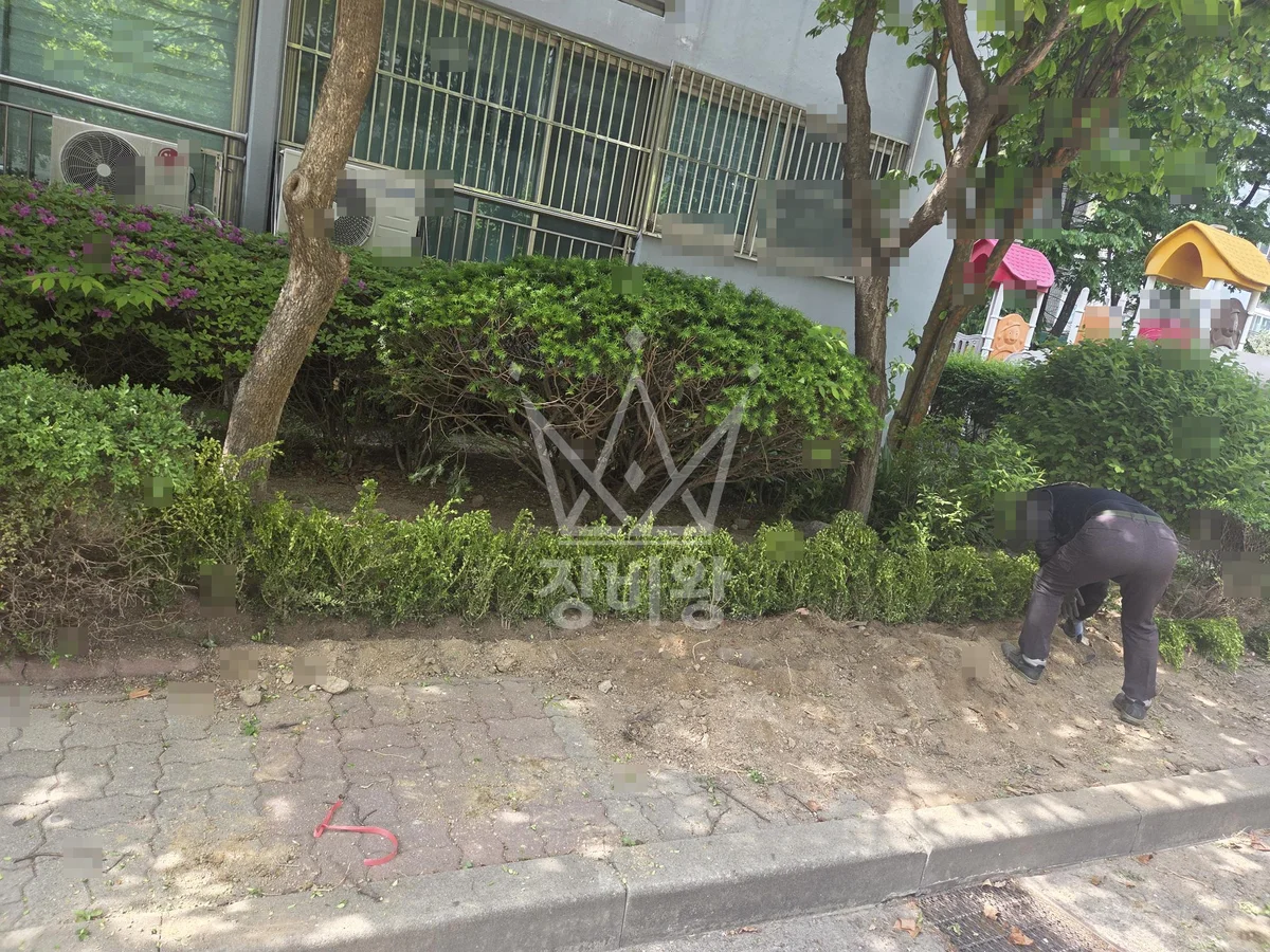 경기 의정부시 신곡동 굴착기(포크레인) 회양목 폐기물(3.5톤폐기물차량에 상차) 작업사진 3