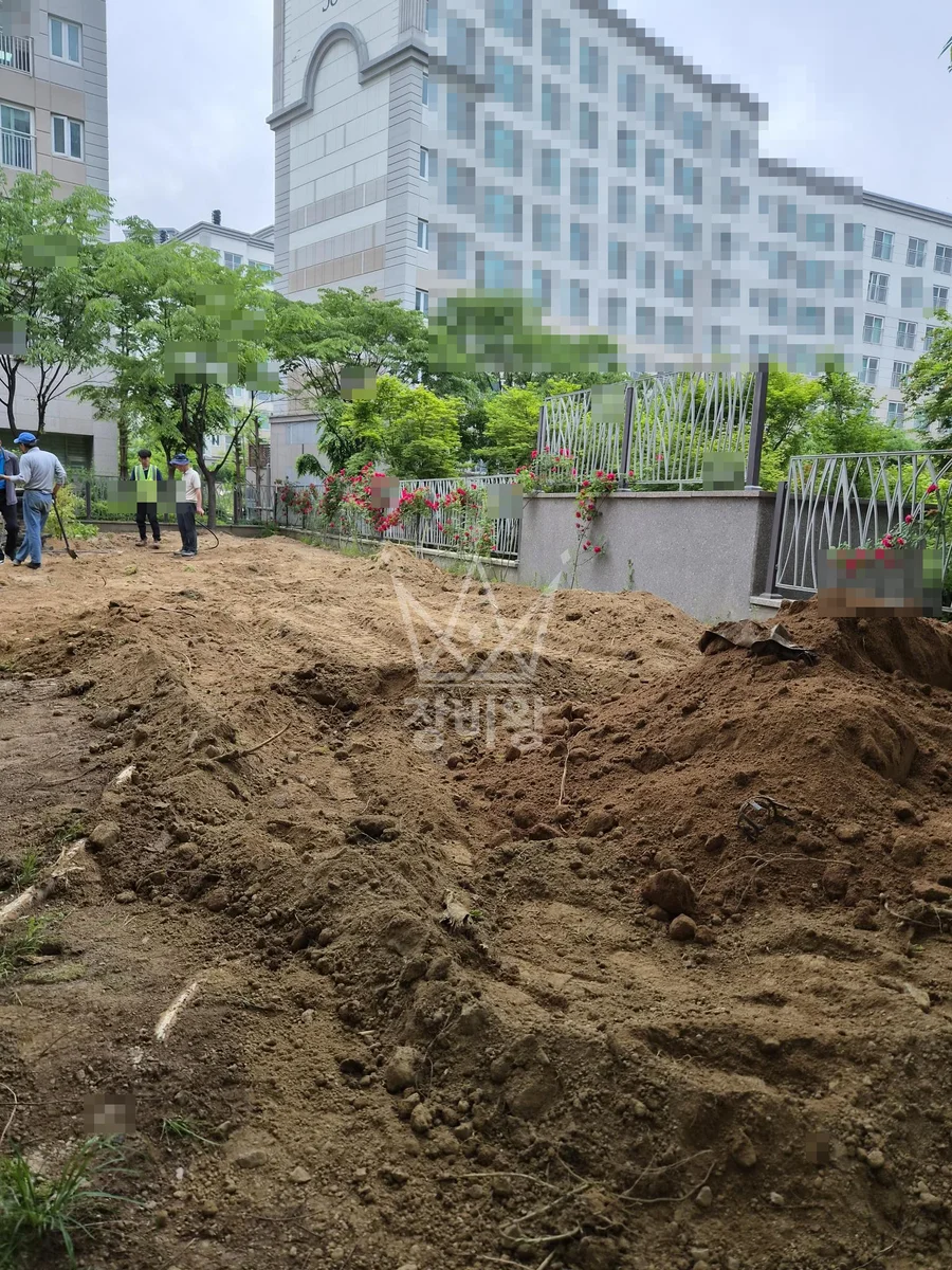 경기 남양주시 별내동 포크레인(굴착기) 나무작업-굴치및 식재준비 작업완료사진 1