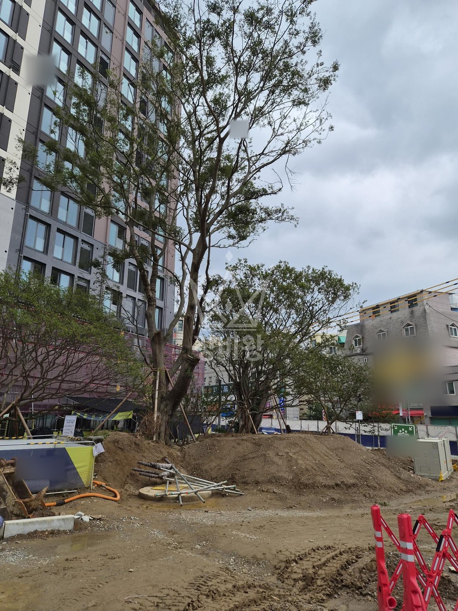 서울 은평구 대조동 포크레인(굴착기) 바닥작업 작업완료사진 1