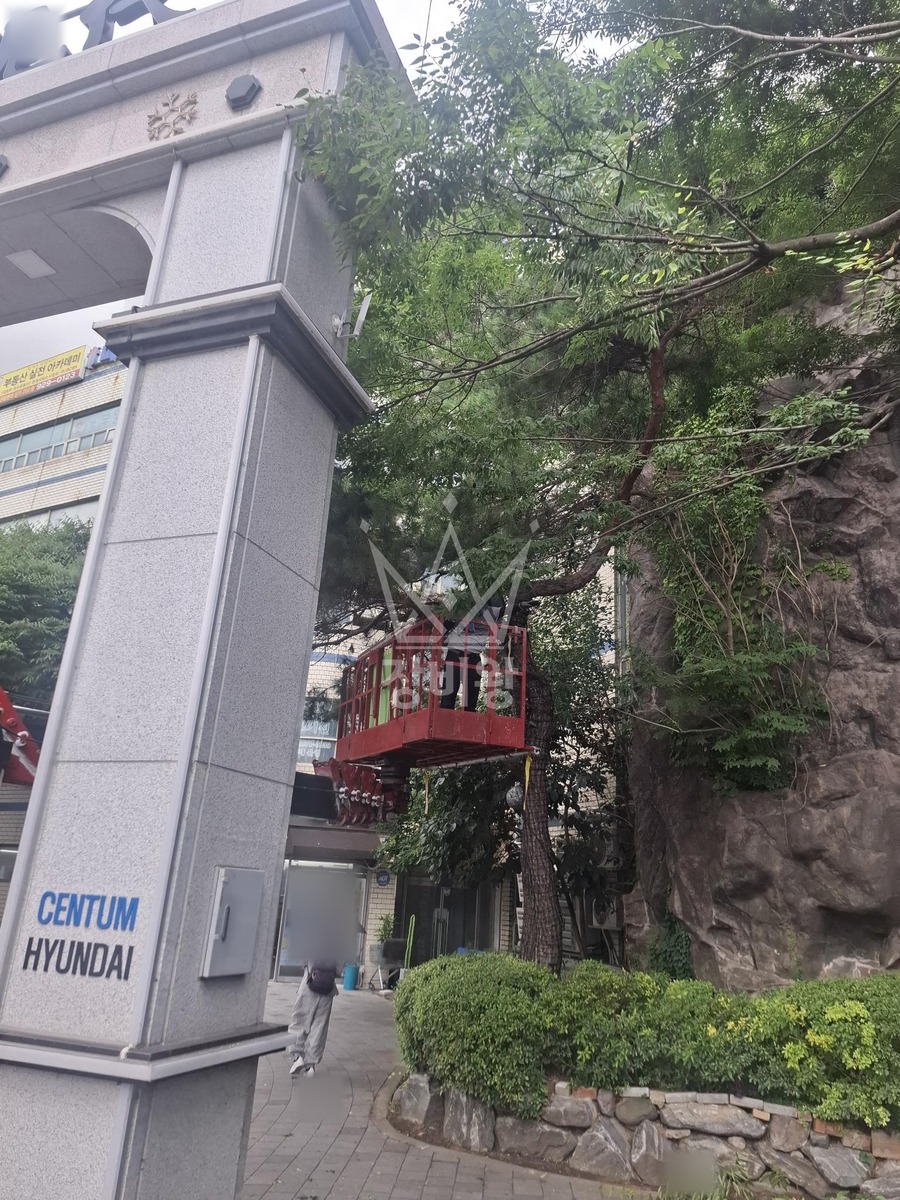 부산 해운대구 우동 3.5톤 스카이차 나무전지작업 작업사진 1