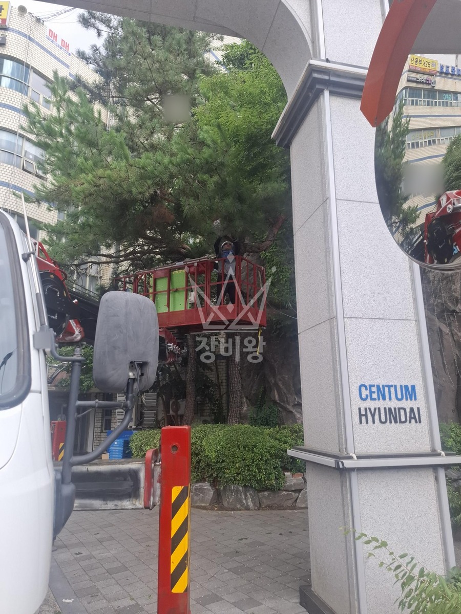 부산 해운대구 우동 3.5톤 스카이차 나무전지작업 작업사진 2