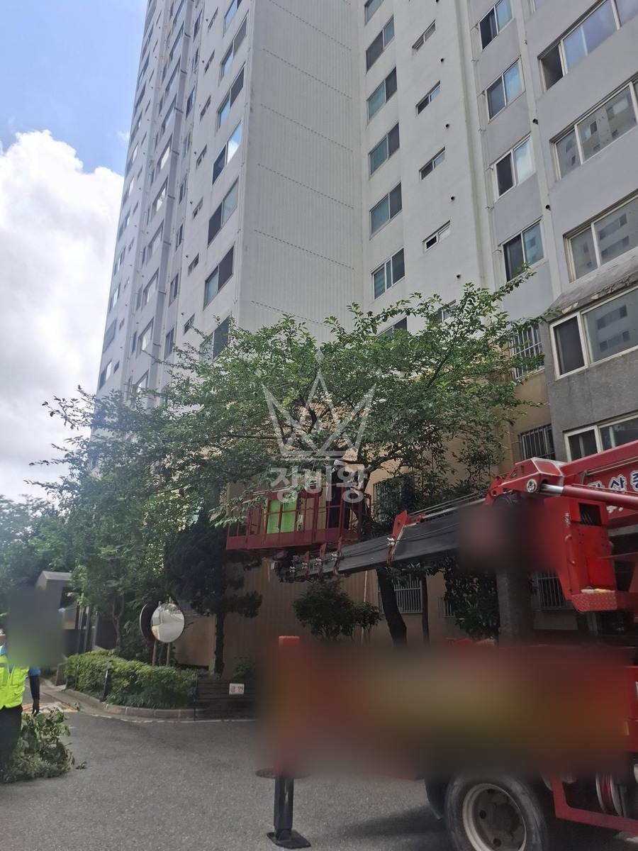 부산 해운대구 우동 3.5톤 스카이차 나무전지작업 작업사진 3