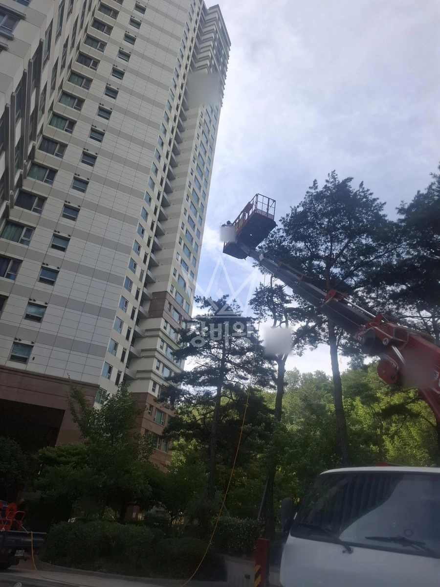 경남 창원시 성산구 대원동 3.5톤 스카이차 수목방재 작업사진 1