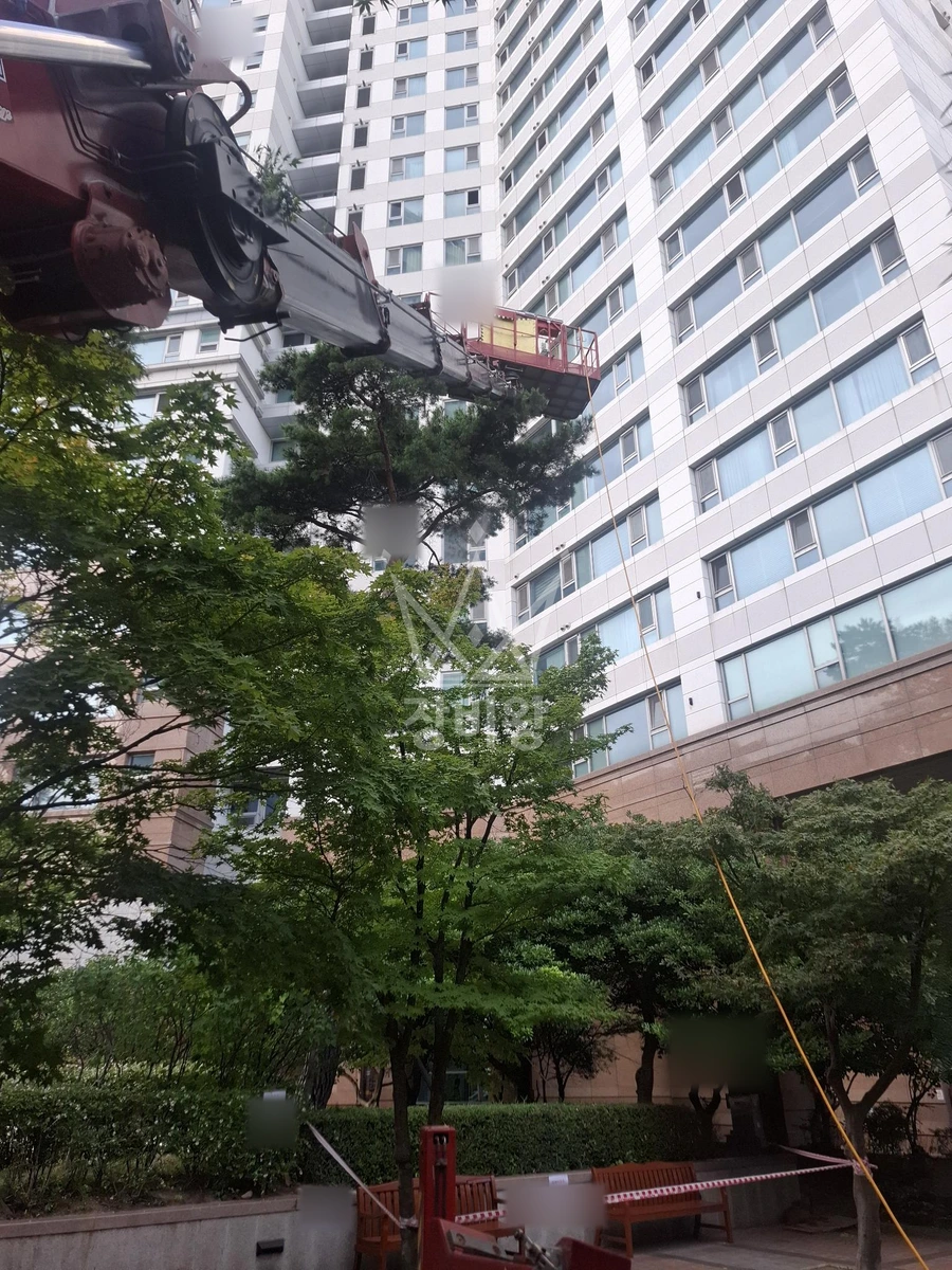 경남 창원시 성산구 대원동 3.5톤 스카이차 수목방재 작업사진 2