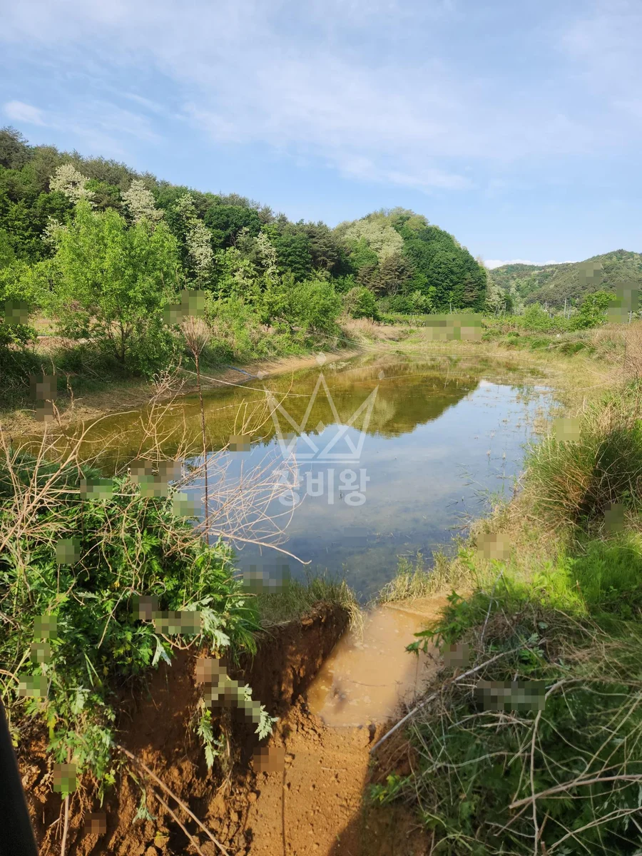 강원 양양군 서면 포크레인(굴착기) 평탄작업 작업사진 3