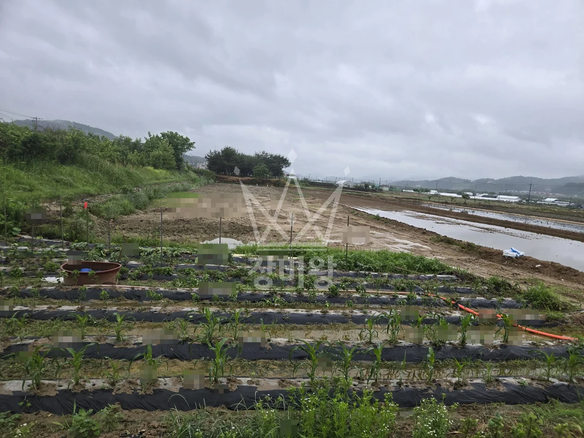 충북 청주시 상당구 포크레인(굴착기) 작업 현장 도착사진