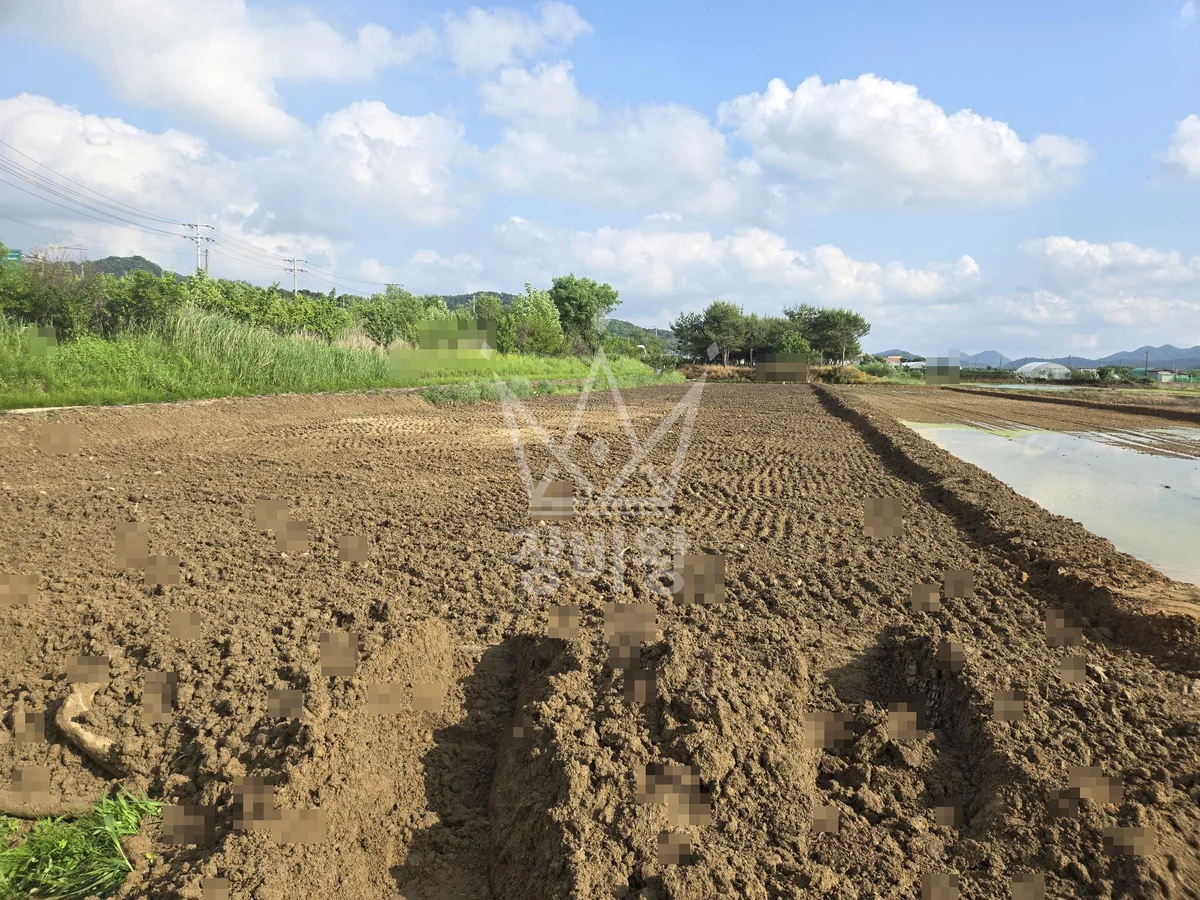 충북 청주시 상당구 포크레인(굴착기) 논 400평 흙 평탄 작업 작업사진 1