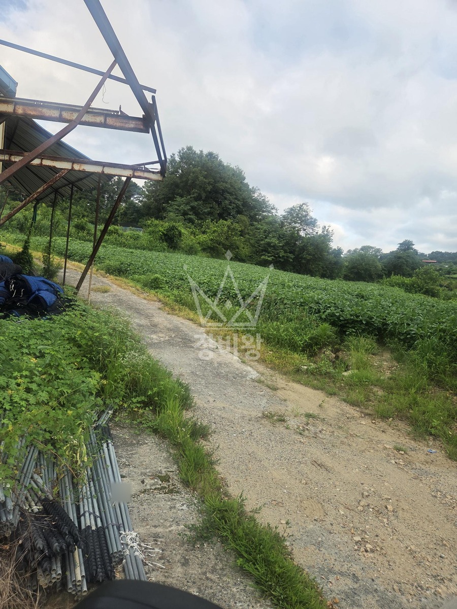충남 금산군 금성면 포크레인(굴착기) 작업 현장 도착사진